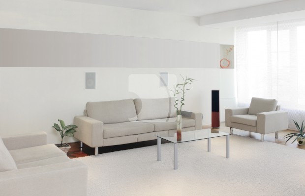 Numărul fotografiei 2 Pășune  Pentru vânzare  in Bălăceanca, Ilfov