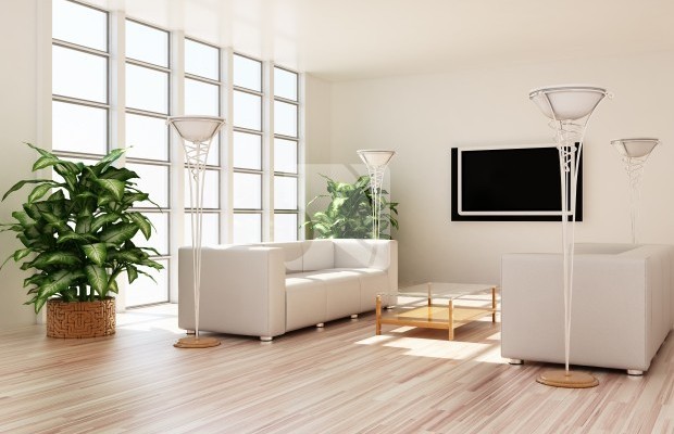 Numărul fotografiei 2 Altele  Pentru vânzare  in Alexandrița, Harghita