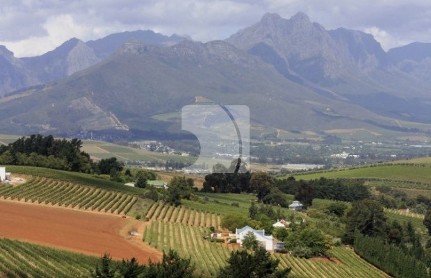 Numărul fotografiei 2 Fermă  Pentru vânzare  in Brăila, Brăila