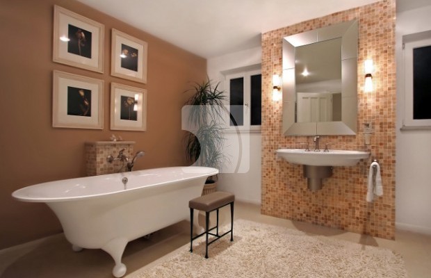 Numărul fotografiei 2 Pășune  Pentru vânzare  in Ghinoaica, Prahova