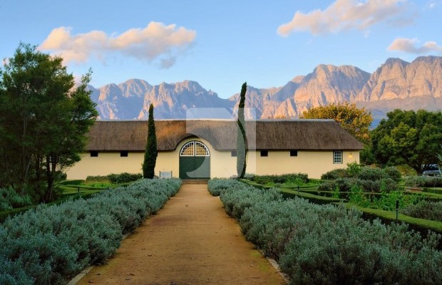 Numărul fotografiei 1 Pășune  Pentru vânzare  in Ghinoaica, Prahova