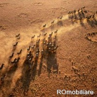 Vezi ID-ul listării ref# 84